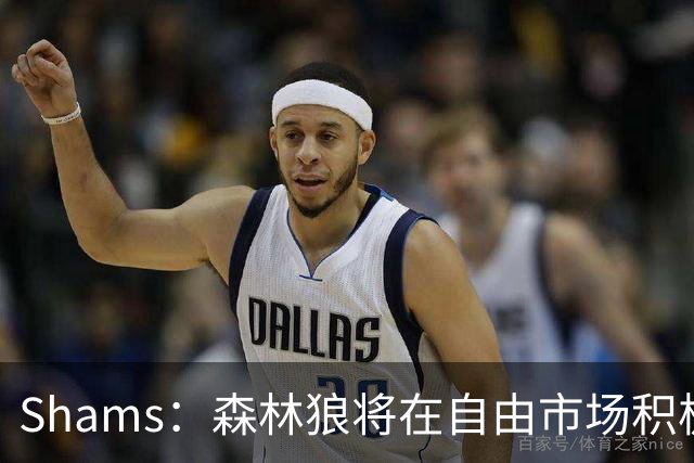 Shams：森林狼将在自由市场积极补强4号位 但他们只能提供底薪